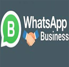 whatsapp business